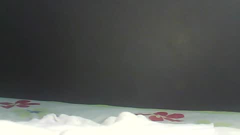 Bee Bee online show from February 9, 1:42 am