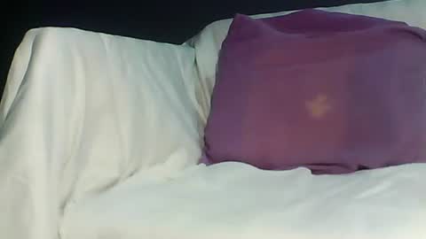 Bee Bee online show from March 23, 4:05 am