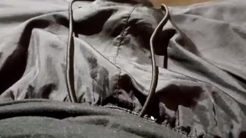 Snapshot of lvacd11 chatting on September 26, 11:25 am Lvac11 online show from September 26, 11:25 am