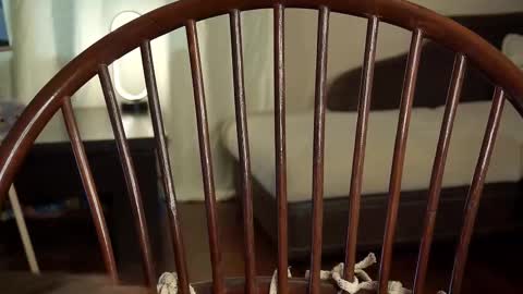 hi im Lyle online show from February 27, 6:18 am