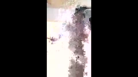 Snapshot of maciasbraulio846 chatting on February 3, 6:00 am maciasbraulio846 online show from February 3, 6:00 am