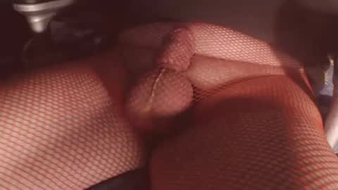 maestro2017 online show from February 6, 11:30 pm