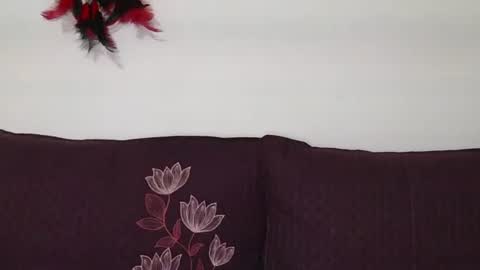 Snapshot of magic_door_open chatting on October 30, 9:11 am magic door open online show from October 30, 9:11 am