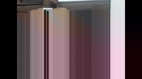 maheel84 online show from January 11, 5:29 pm