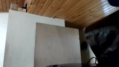 MAITE STONE1 online show from October 31, 11:55 am