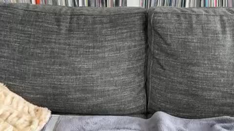 Snapshot of majortazer chatting on December 3, 9:23 pm majortazer online show from December 3, 9:23 pm