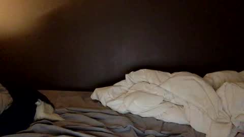 malefrench1 online show from March 25, 4:18 am