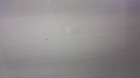 malen_fitnessmilf online show from March 22, 11:02 am