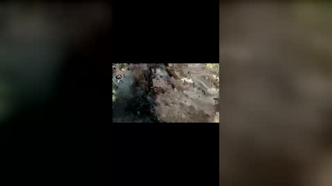 Mallubull online show from November 25, 8:42 pm