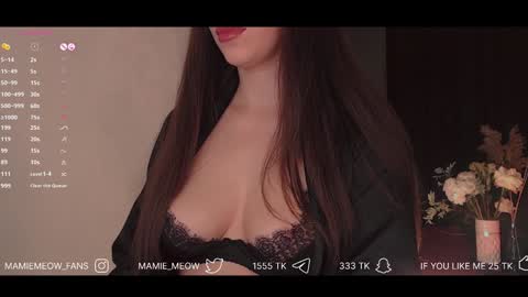 Snapshot of mamiemeow chatting on January 30, 3:51 pm Your Miss Alice online show from January 30, 3:51 pm