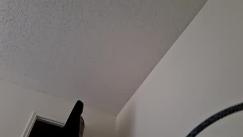 Jan and Man online show from March 31, 9:04 pm