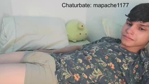 Snapshot of mapache1177 chatting on February 24, 6:00 am mapache1177 online show from February 24, 6:00 am