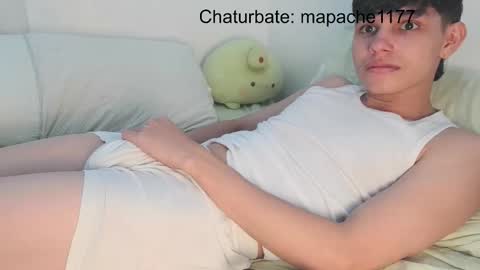 Snapshot of mapache1177 chatting on February 25, 4:05 pm mapache1177 online show from February 25, 4:05 pm