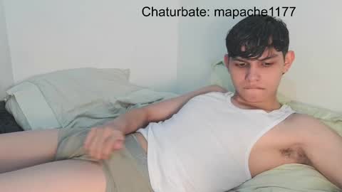 Snapshot of mapache1177 chatting on May 16, 3:36 am mapache1177 online show from May 16, 3:36 am