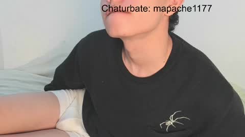 Snapshot of mapache1177 chatting on May 19, 3:18 pm mapache1177 online show from May 19, 3:18 pm