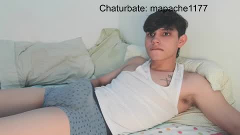Snapshot of mapache1177 chatting on May 22, 10:15 pm mapache1177 online show from May 22, 10:15 pm