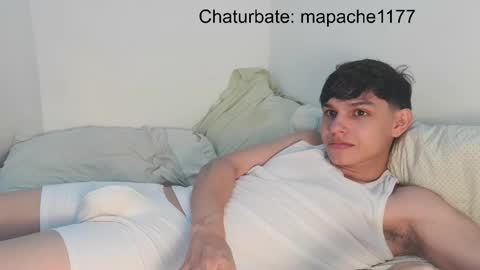 Snapshot of mapache1177 chatting on May 23, 7:40 pm mapache1177 online show from May 23, 7:40 pm