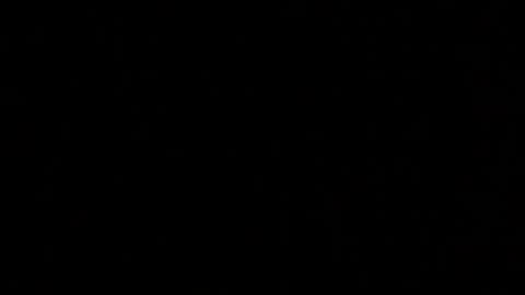 Elle online show from October 11, 2:26 pm