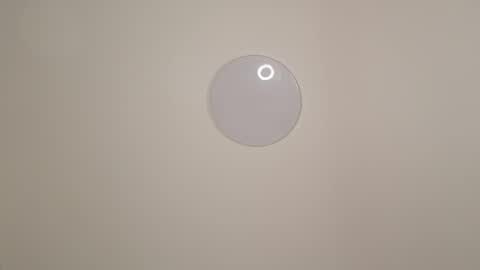 sofia online show from November 29, 8:06 am