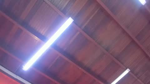 maria_turner1 online show from February 9, 12:20 pm