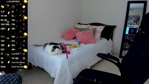 Snapshot of mariamcastillo chatting on January 14, 3:01 am Mariam Castiblanco online show from January 14, 3:01 am