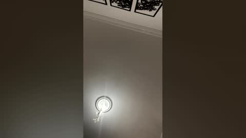 Mar y online show from February 25, 2:27 pm