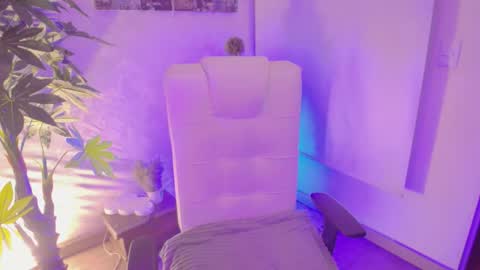 Vane online show from November 8, 8:14 am