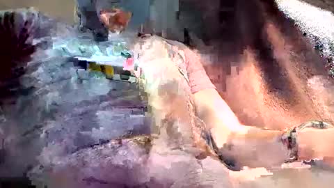 Snapshot of mark102839 chatting on March 13, 8:26 pm mark102839 online show from March 13, 8:26 pm