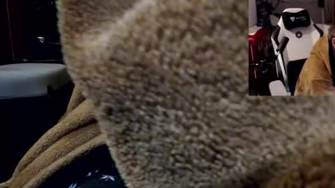 markass87 online show from April 4, 12:53 am