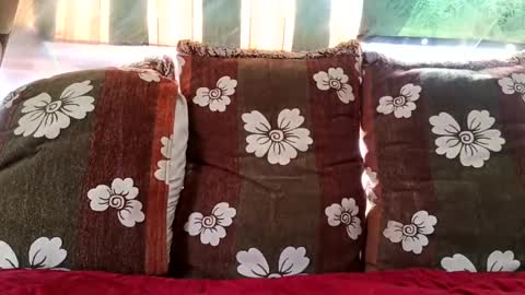 marocreda33 online show from February 16, 11:05 am