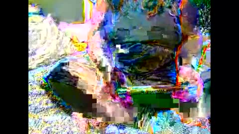 Martha online show from November 6, 7:09 am