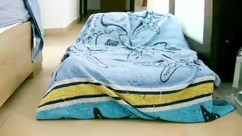 Play with me I obey I promise  online show from October 12, 10:58 am