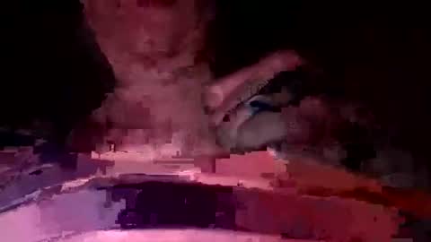 martinhopetaylor online show from July 17, 9:27 am