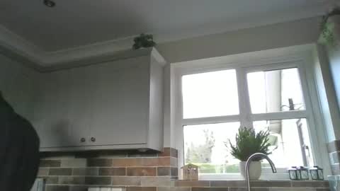 Snapshot of martinrgbxxxx chatting on December 15, 9:56 am martinrgbxxxx online show from December 15, 9:56 am