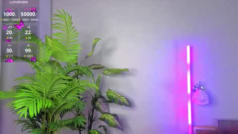 mary online show from November 18, 5:17 pm