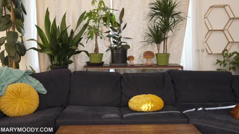 Mary Moody online show from March 9, 12:47 am