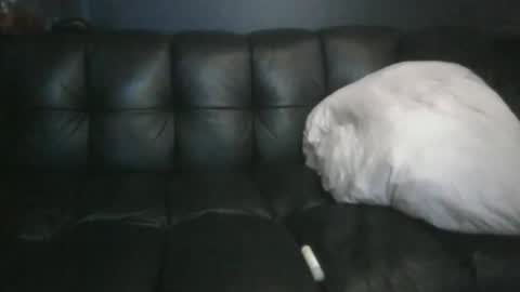 Masc39 online show from April 12, 12:37 am