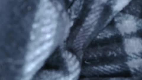 alex online show from March 28, 1:27 am