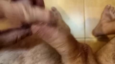 Snapshot of mastmachine87 chatting on October 16, 3:13 pm Chriss online show from October 16, 3:13 pm