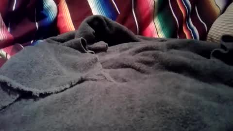 mastrdebator online show from December 1, 3:33 am