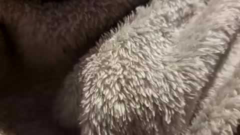 mattca80 online show from October 4, 2:53 am