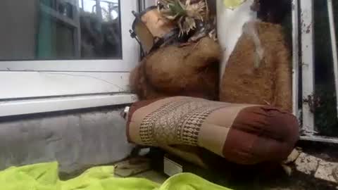 matureman1234 online show from October 29, 10:06 am