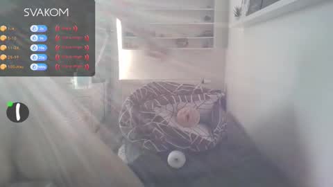 Matyas online show from February 19, 8:12 am