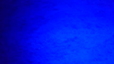 Ignacio online show from December 29, 8:22 am