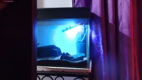 Snapshot of maxianomal chatting on March 9, 2:04 am Max online show from March 9, 2:04 am