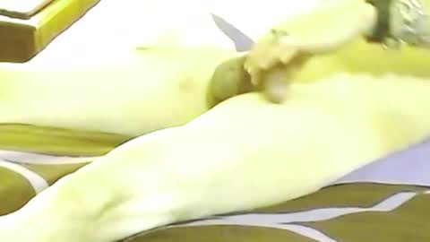 Snapshot of maxxflow chatting on October 12, 11:42 am maxxflow online show from October 12, 11:42 am