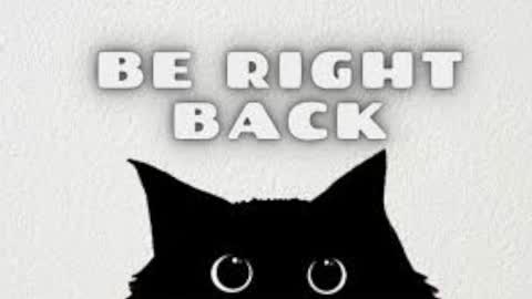 Maya online show from November 11, 4:45 am