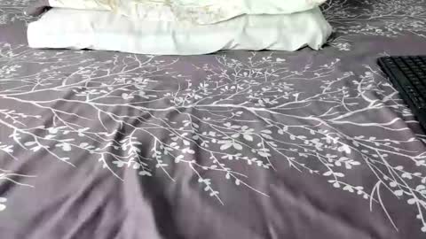 Maybelline69 online show from February 6, 8:45 pm