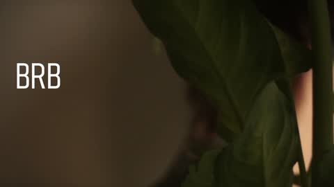Snapshot of maymary_ chatting on December 28, 8:58 am Mary . online show from December 28, 8:58 am