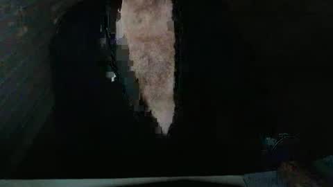 Beastie online show from November 5, 3:50 am